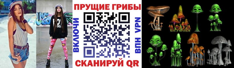 Галлюциногенные грибы прущие грибы как найти закладки Тотьма
